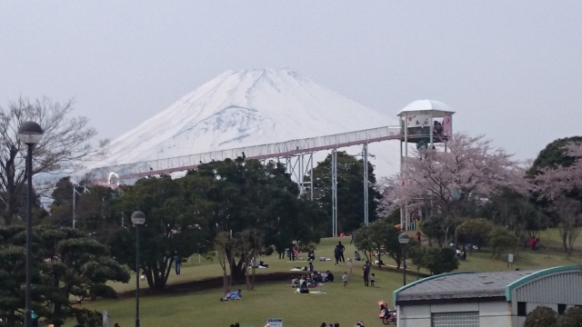 富士山が間近見えるローラー滑り台
