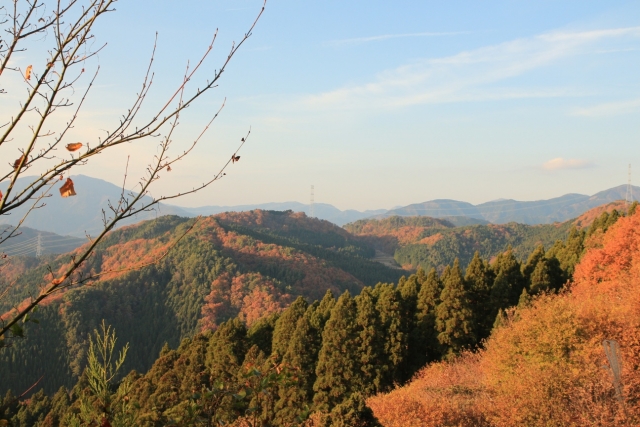 【2013/11/24撮影】展望所からの風景