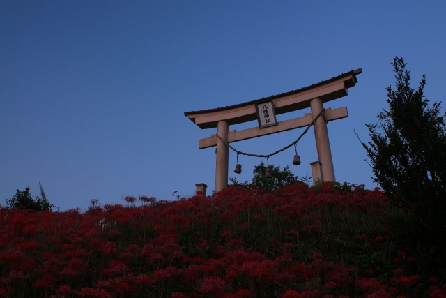 下石井八幡神社