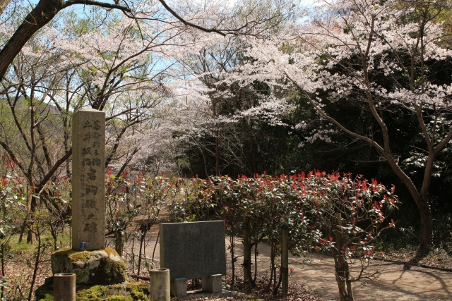 【2014/4/6撮影】　殉職碑と桜
