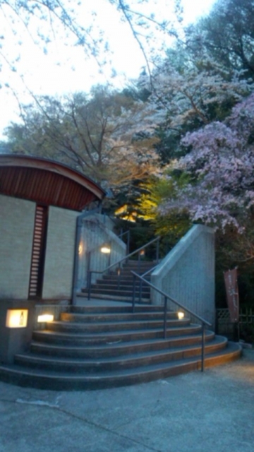 桜の季節の天山入口