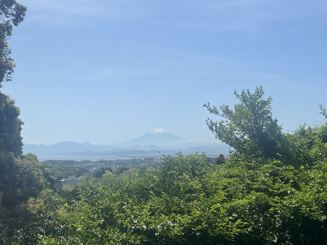 鎌倉山の道から富士山！