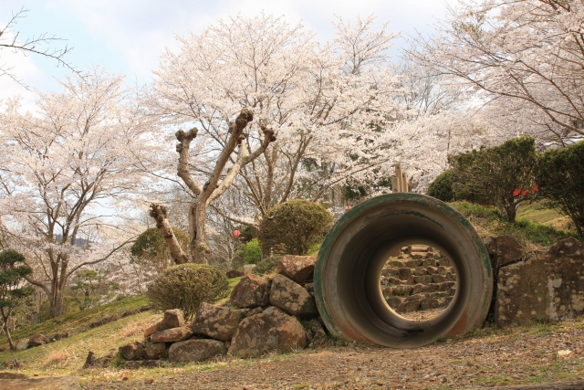 【2014/4/5撮影】遊具と桜