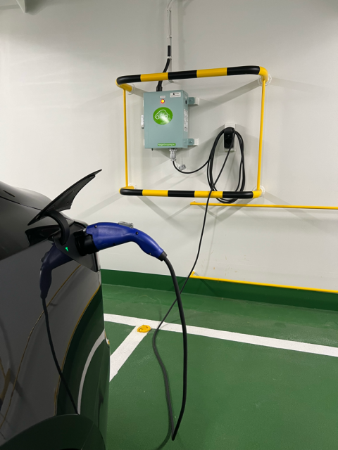 フェリーさんふらわあ くれない・むらさき (大阪港)/(株